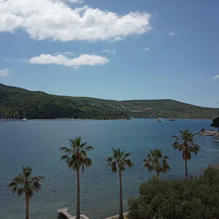 Dubrovnik Riviera Near Sea *